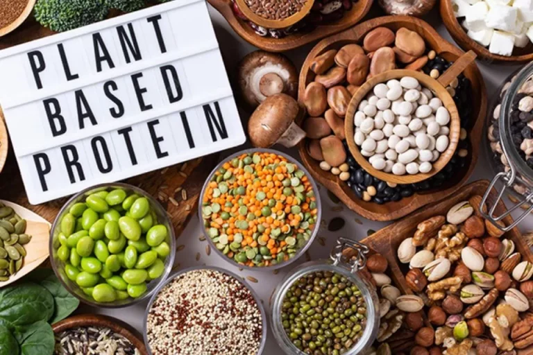 best plant-based proteins