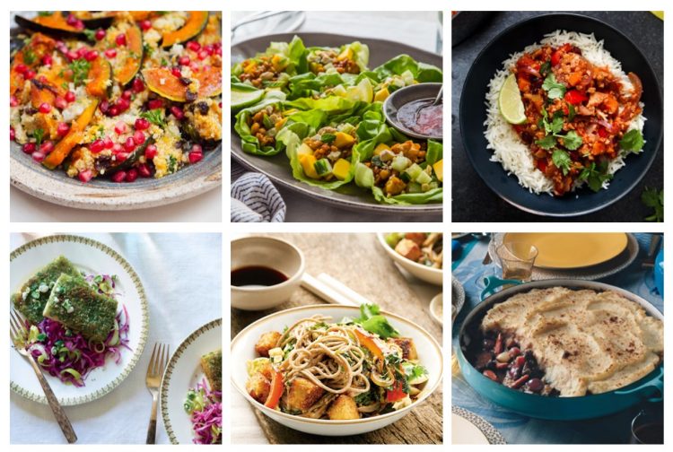 high protein vegetarian meals